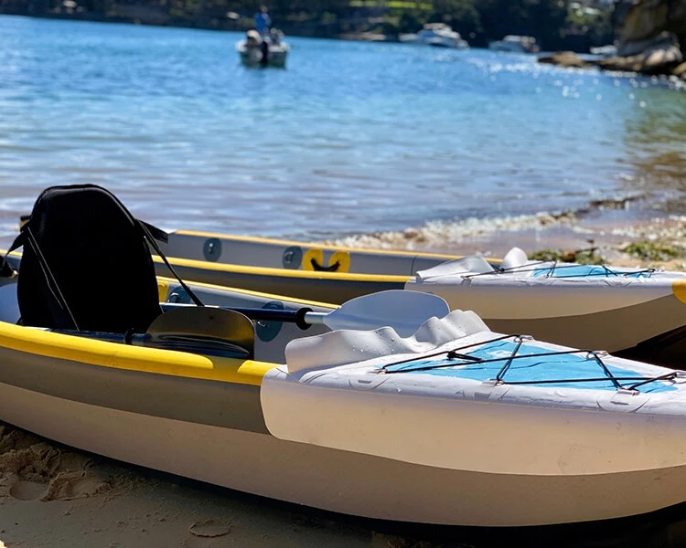 485x80cm Good Quality Double 2 - огляд і ціна Inflatable Kayak 2 Person Drop Stitch